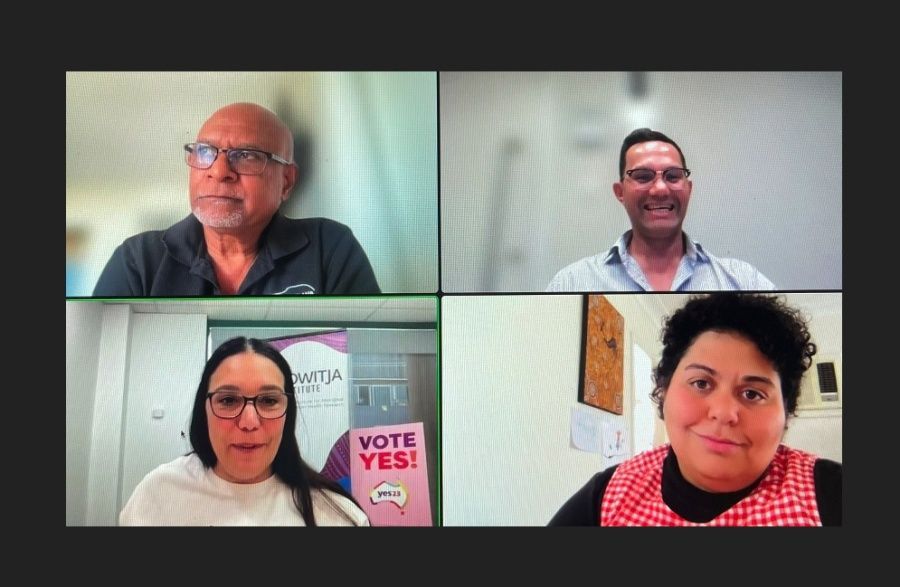 Voice webinar panellists